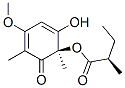 (R)-2-Methylbutyric acid (R)-1,3-dimethyl-2-oxo-4-methoxy-6-hydroxy-3,5-cyclohexadienyl ester CAS#: 90129-43-4