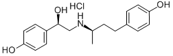 Ractopamine CAS#: 97825-25-7