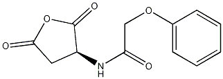 (S)-N-(2,5-dioxotetrahydrofuran-3-yl)-2-phenoxyacetamide CAS#: 91807-59-9