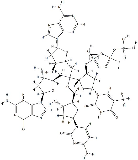 deoxy-(adenylyl-guanylyl-cytidylyl-thymidine) CAS#: 91126-91-9