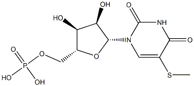 poly-5-methylthiouridylic acid CAS#: 94926-74-6