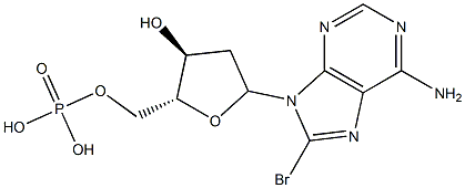 poly(8-bromo-2'-deoxyadenylic acid) CAS#: 92267-23-7