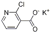 potassium 2-chloro-nicotinate CAS#: 97510-86-6