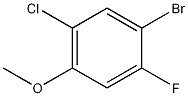 1-Bromo-5-chloro-2-fluoro-4-methoxybenzene CAS#: 901236-75-7