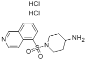 1-(Isoquinoline-5-sulfonyl)-piperidin-4-ylamine dihydrochloride CAS#: 936250-33-8