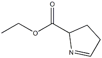 1-Pyrroline-5-carboxylicacid,ethylester(6CI) CAS#: 98431-77-7