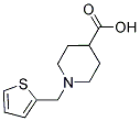 1-(THIEN-2-YLMETHYL)PIPERIDINE-4-CARBOXYLIC ACID CAS#: 901923-78-2
