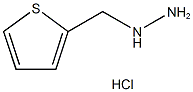 1-((thiophen-2-yl)methyl)hydrazine CAS#: 99418-98-1