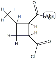 1,2-Cyclobutanedicarbonylchloride,3-methyl-(6CI) CAS#: 98276-43-8