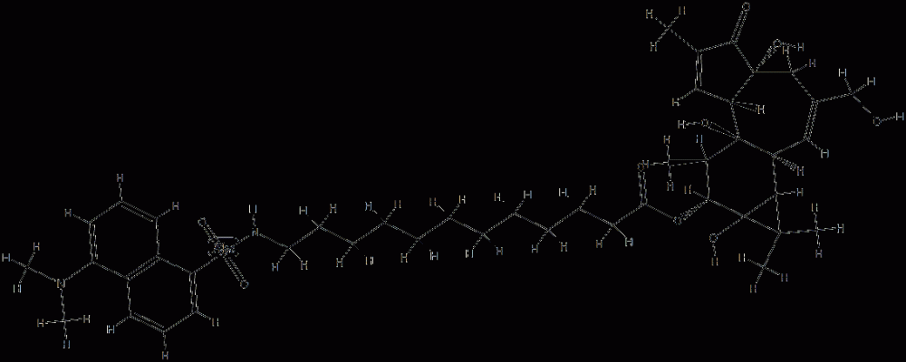 12-O-(12-N-dansylaminododecanoyl)phorbol CAS#: 98897-17-7
