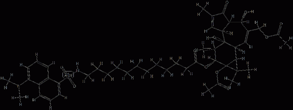 12-O-(12(N)-dansylaminododecanoyl)phorbol 12,20-diacetate CAS#: 98897-16-6