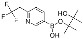 2-(2,2,2-trifluoroethyl)pyridine-5-boronic acid pinacol ester CAS#: 917969-86-9