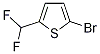 2-Bromo-5-(difluoromethyl)thiophene CAS#: 924646-90-2