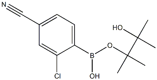 2-Chloro-4-cyanophenylboronic Acid Pinacol Ester CAS#: 945391-06-0