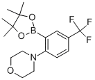 2-Morpholin-4-yl-5-(trifluoromethyl)benzeneboronic acid, pinacol ester CAS#: 906352-77-0