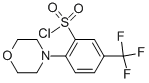 2-morpholino-5-(trifluoromethyl)benzenesulfonyl chloride CAS#: 906352-76-9