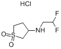 (2,2-Difluoro-ethyl)-(1,1-dioxo-tetrahydrothiophen-3-yl)-amine CAS#: 915402-22-1