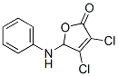 2(5H)-Furanone, 3,4-dichloro-5-(phenylamino)- CAS#: 906719-71-9