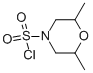 2,6-DIMETHYLMORPHOLINE-4-SULFONYL CHLORIDE CAS#: 919026-20-3
