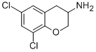 2H-1-BENZOPYRAN-3-AMINE,6,8-DICHLORO-3,4-DIHYDRO- CAS#: 939758-99-3