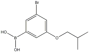 3-Bromo-5-isobutoxyphenylboronic acid CAS#: 918904-39-9