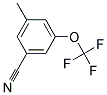 3-METHYL-5-(TRIFLUOROMETHOXY)BENZONITRILE CAS#: 916420-59-2