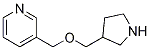 3-(Pyrrolidin-3-ylmethoxymethyl)-pyridine CAS#: 933716-74-6