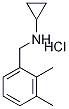 3-diMethylbenzyl)cyclopropanaMine hydrochloride CAS#: 909702-86-9