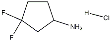 3,3-DIFLUOROCYCLOPENTANAMINE HYDROCHLORIDE CAS#: 939525-61-8