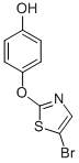 4-(5-BROMOTHIAZOL-2-YLOXY)PHENOL CAS#: 904961-21-3
