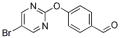 4-((5-BroMopyriMidin-2-yl)oxy)benzaldehyde CAS#: 952182-73-9
