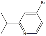 4-bromo-2-isopropylpyridine CAS#: 908267-63-0