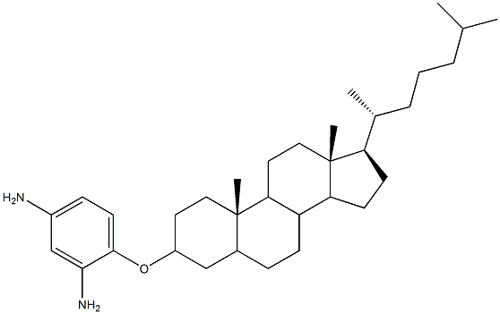 4-(cholestan-3-yloxy)-1,3-BenzendiaMine CAS#: 916745-48-7