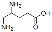 4,5-diaminopentanoic acid CAS#: 99363-27-6