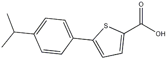 5-(4-Isopropylphenyl)thiophene-2-carboxylic acid CAS#: 943115-91-1