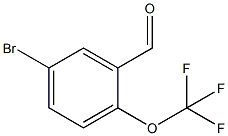 5-BROMO-2-(TRIFLUOROMETHOXY)BENZALDEHYDE CAS#: 923281-52-1