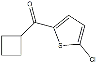 (5-Chloro-thiophen-2-yl)-cyclobutyl-methanone CAS#: 955126-39-3