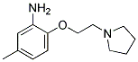 5-METHYL-2-(2-PYRROLIDIN-1-YL-ETHOXY)-PHENYLAMINE CAS#: 919011-42-0
