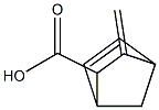 5-Norbornene-2-carboxylicacid,3-methylene-(6CI) CAS#: 99179-44-9