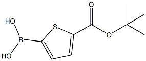 5-TERT-BUTOXYCARBONYLTHIOPHENE-2-BORONIC ACID CAS#: 925921-29-5