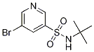 5-broMo-N-tert-butylpyridine-3-sulfonaMide CAS#: 911111-80-3