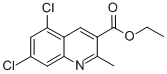 5,7-DICHLORO-2-METHYLQUINOLINE-3-CARBOXYLIC ACID ETHYL ESTER CAS#: 948293-72-9