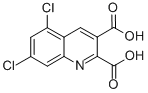 5,7-DICHLOROQUINOLINE-2,3-DICARBOXYLIC ACID CAS#: 948293-77-4