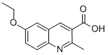 6-ETHOXY-2-METHYLQUINOLINE-3-CARBOXYLIC ACID CAS#: 948289-62-1
