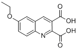 6-ETHOXYQUINOLINE-2,3-DICARBOXYLIC ACID CAS#: 948289-74-5