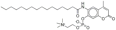 6-HexadecanoylaMino-4-MethyluMbelliferyl Phosphorylcholine CAS#: 904315-61-3
