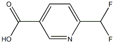 6-(difluoromethyl)pyridine-3-carboxylic acid CAS#: 913091-98-2