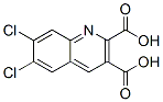 6,7-DICHLOROQUINOLINE-2,3-DICARBOXYLIC ACID CAS#: 948294-36-8