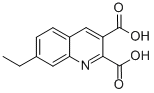 7-ETHYLQUINOLINE-2,3-DICARBOXYLIC ACID CAS#: 948290-58-2