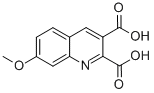 7-METHOXYQUINOLINE-2,3-DICARBOXYLIC ACID CAS#: 948290-89-9
